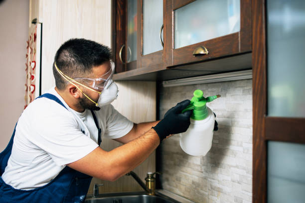 Best Flea Control Services  in Felida, WA