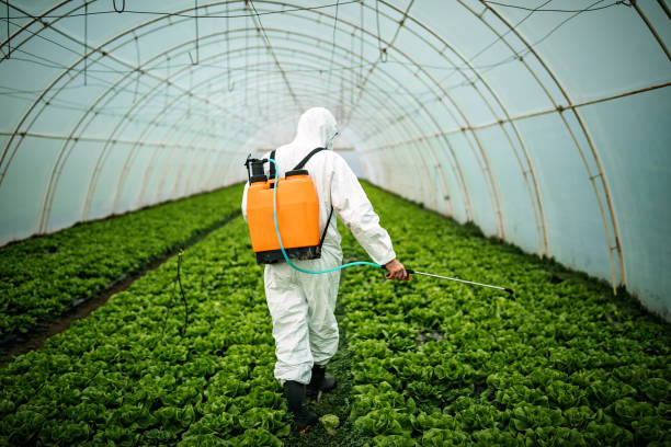Best Best Pest Control Near Me  in Felida, WA