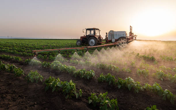 Best Ant Control Services  in Felida, WA