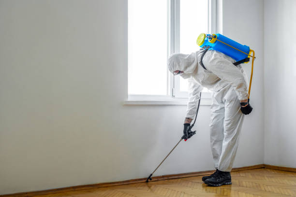 Best Flea Control Services  in Felida, WA