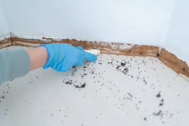 Best Best Pest Control Companies  in Felida, WA